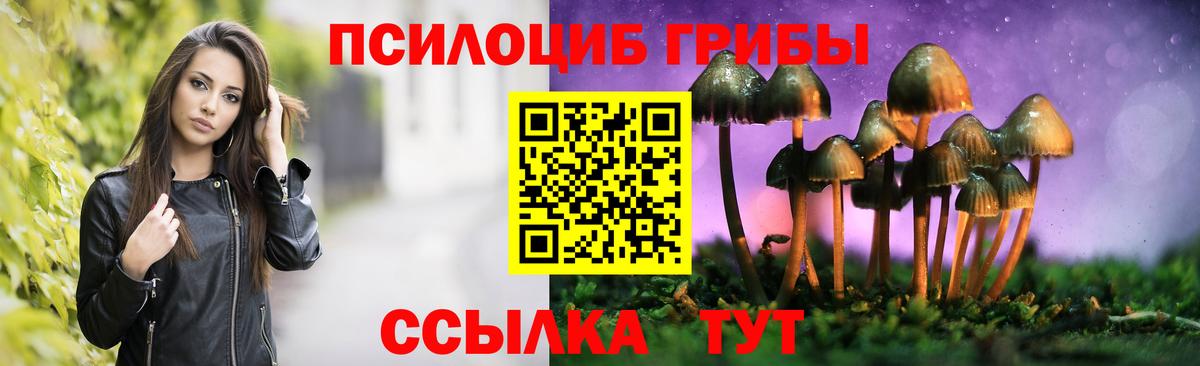 Канск  Псилоцибиновые грибы MAGIC MUSHROOMS  Вход с VPN 