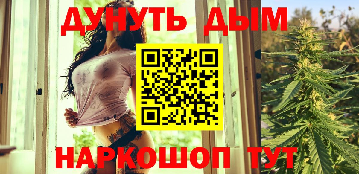 МАРИХУАНА сатива Канск